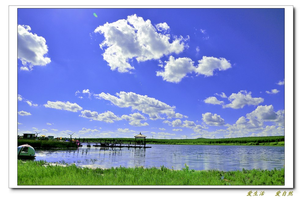 坝上草原
