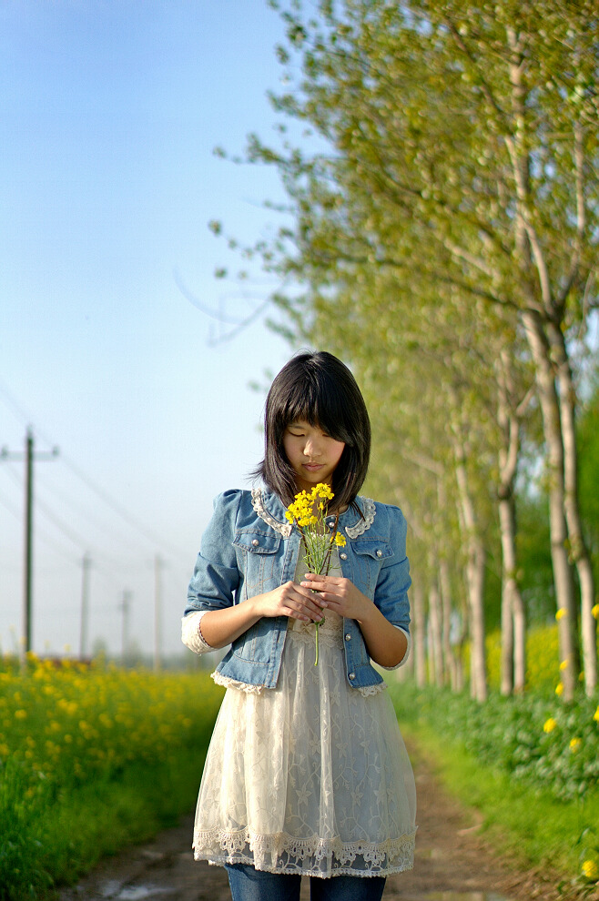 油菜花