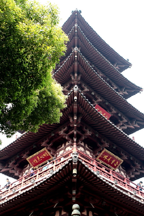 苏州行