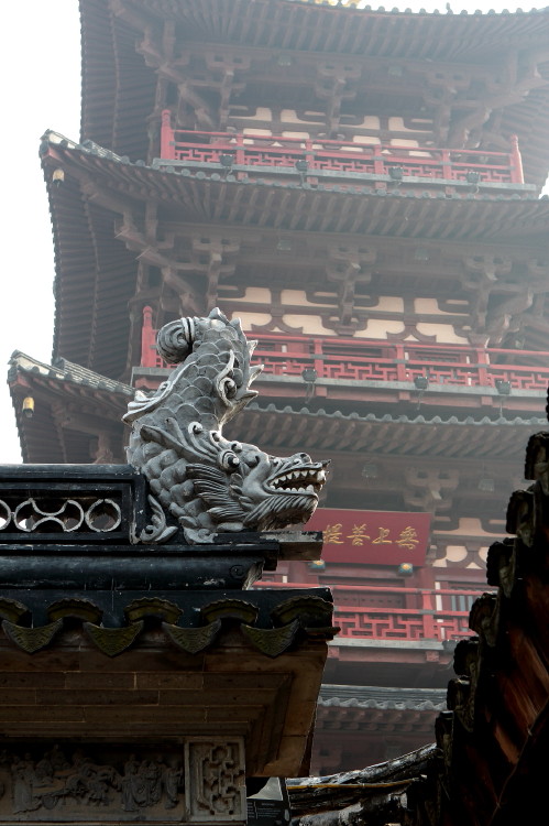 苏州行