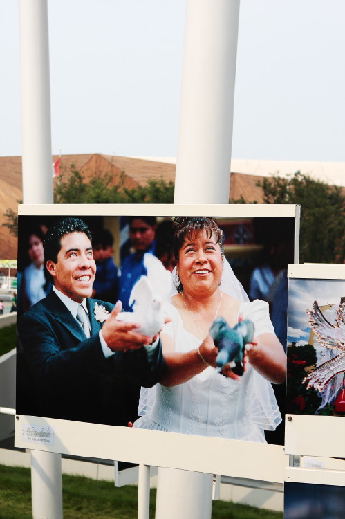 世博随拍