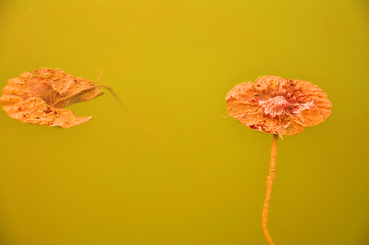 秋到濮上园