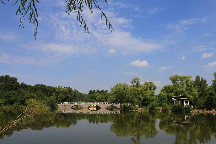 太阳岛如画美景