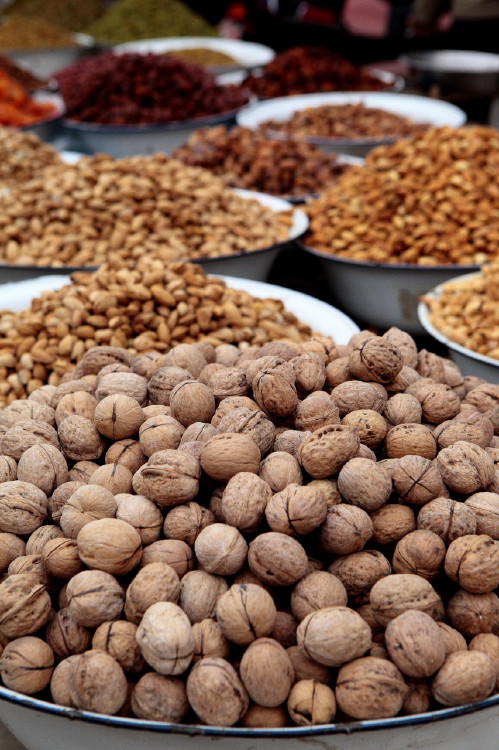 南疆出工
