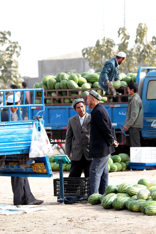 南疆出工