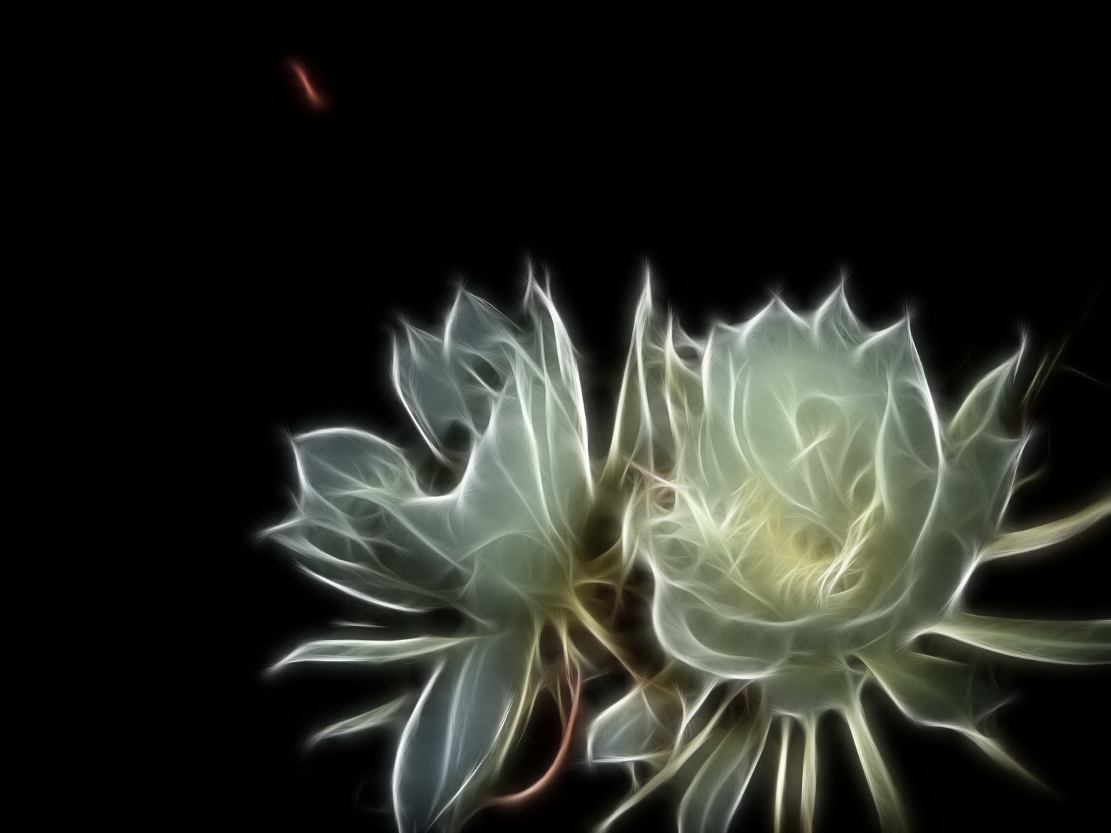 昙花一现