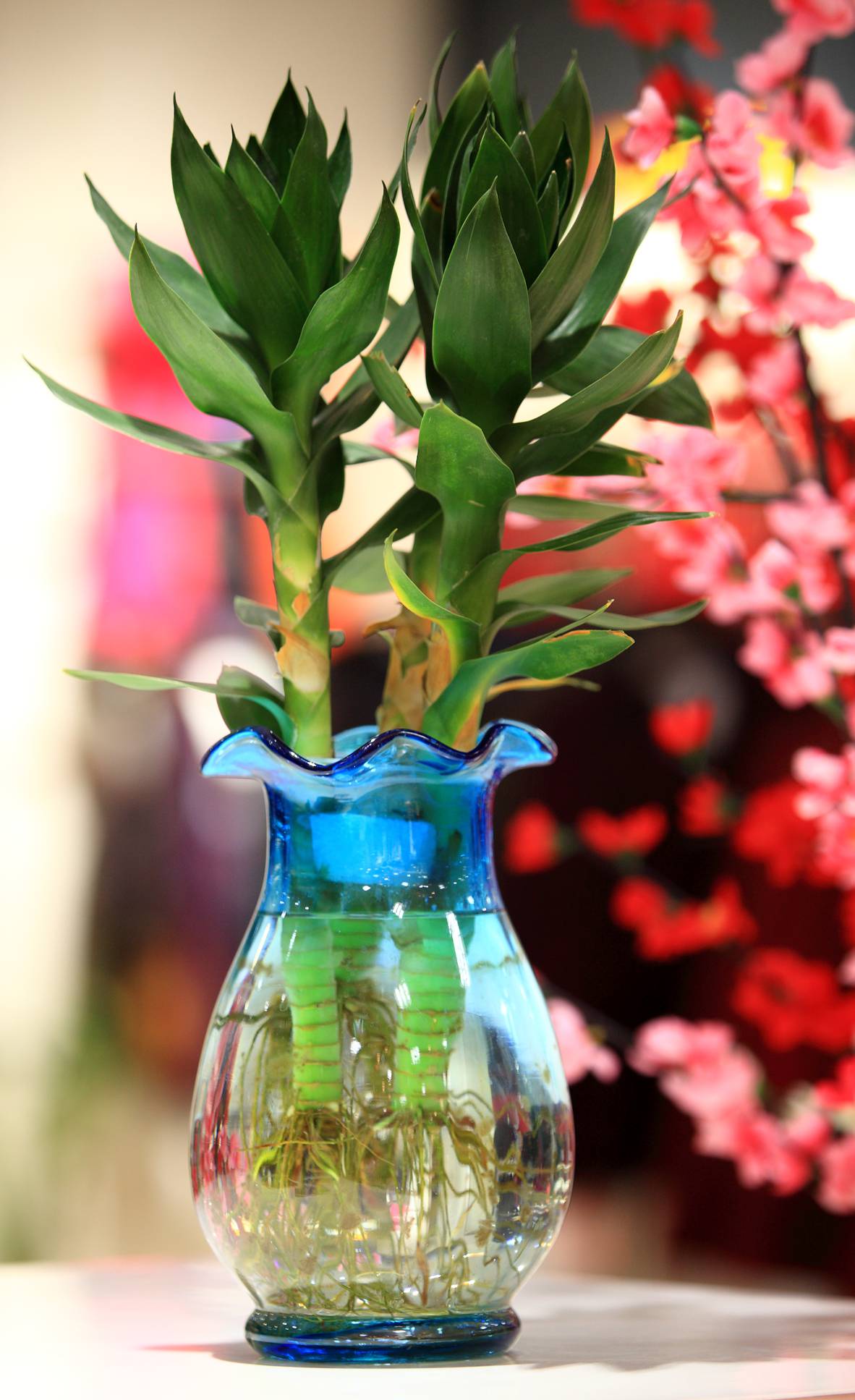 休闲拍泪花