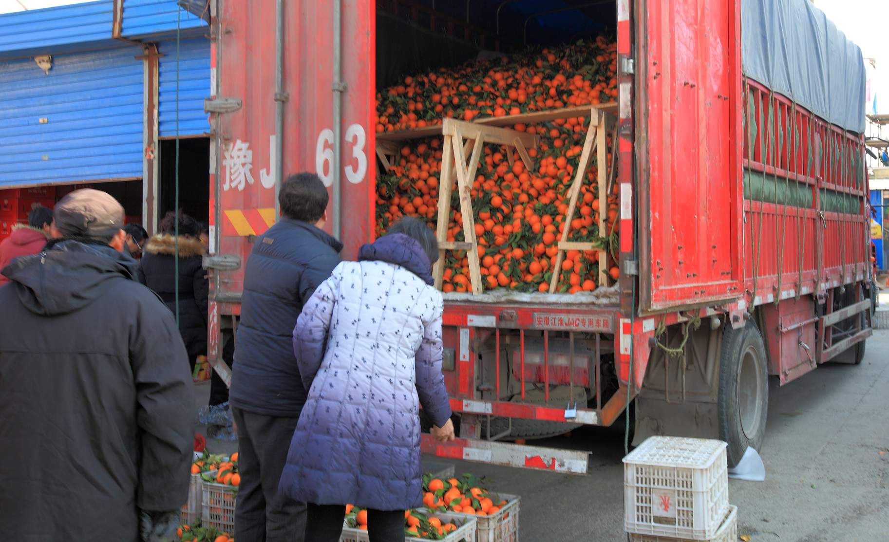 春节前水果市场一派繁荣