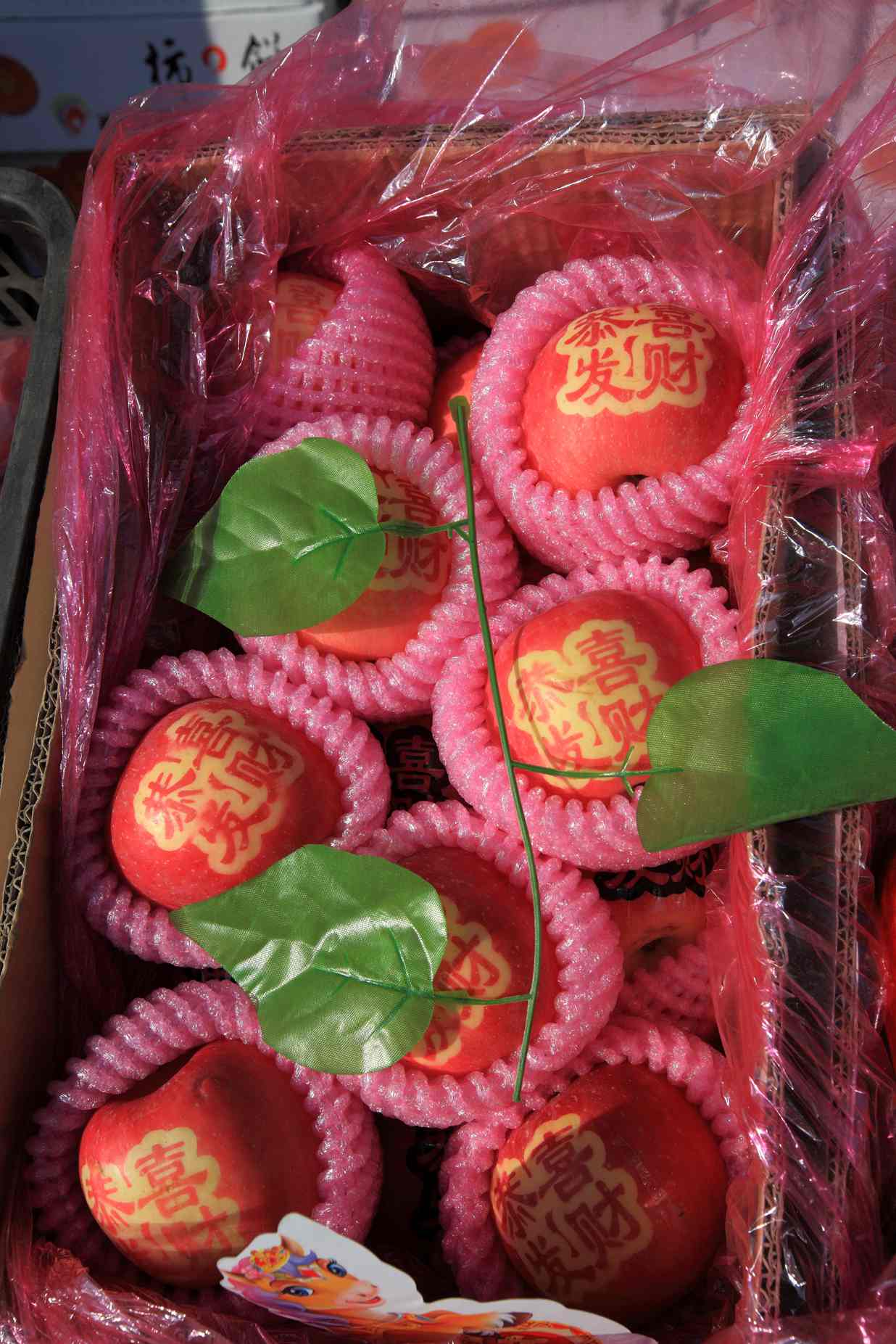 春节前水果市场一派繁荣