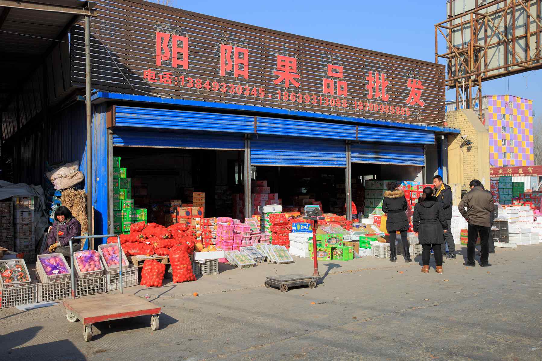春节前水果市场一派繁荣