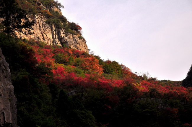 秋染太行——山西平顺岳家寨