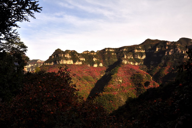 秋染太行——山西平顺岳家寨
