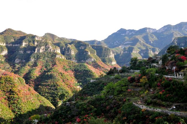 秋染太行——山西平顺岳家寨