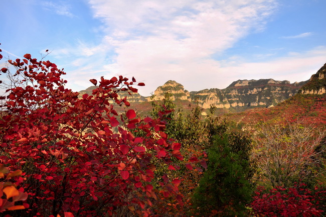秋染太行——山西平顺岳家寨