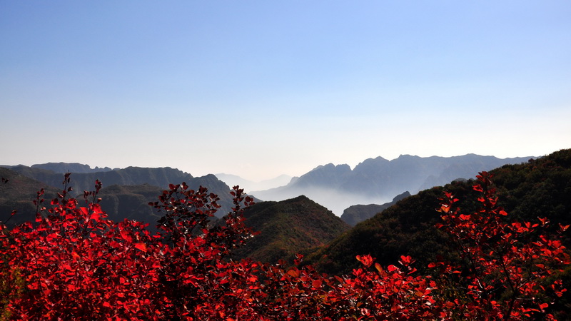 秋染太行——山西平顺岳家寨