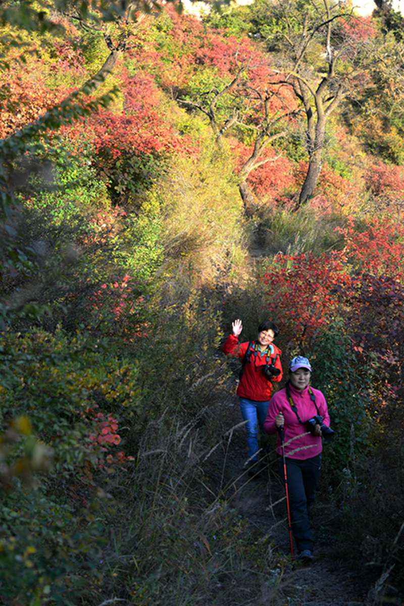 山西平顺岳家寨赏红叶