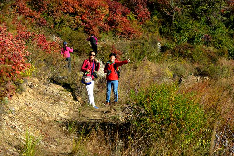 山西平顺岳家寨赏红叶