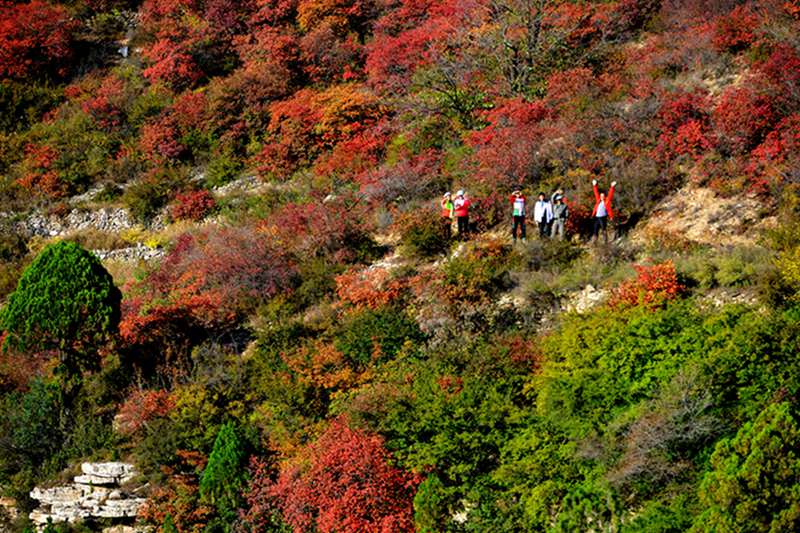 山西平顺岳家寨赏红叶