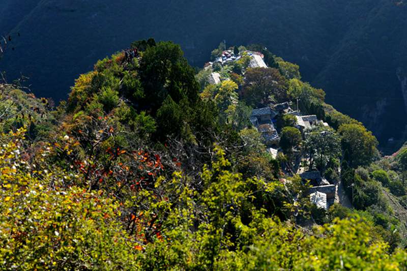 山西平顺岳家寨赏红叶