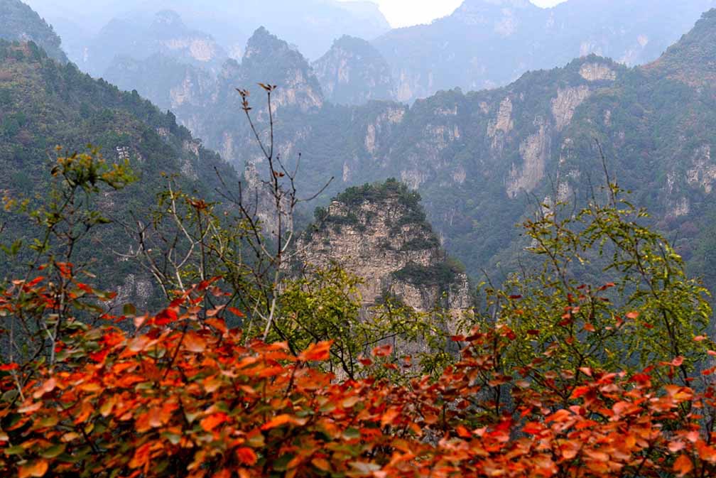 [原创]峰林峡红叶