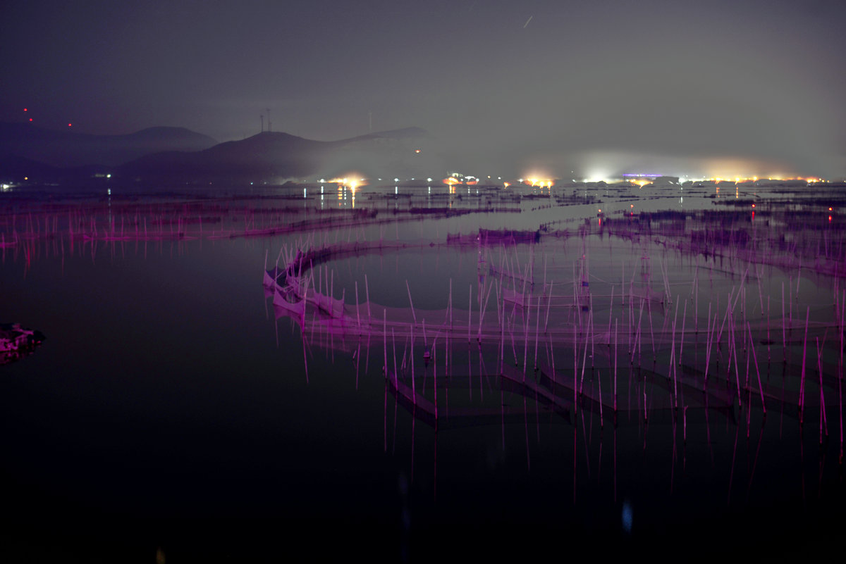 东平湖小景