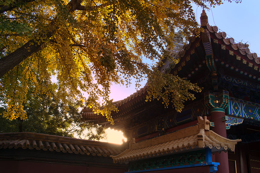 [原创]北京金秋（1）