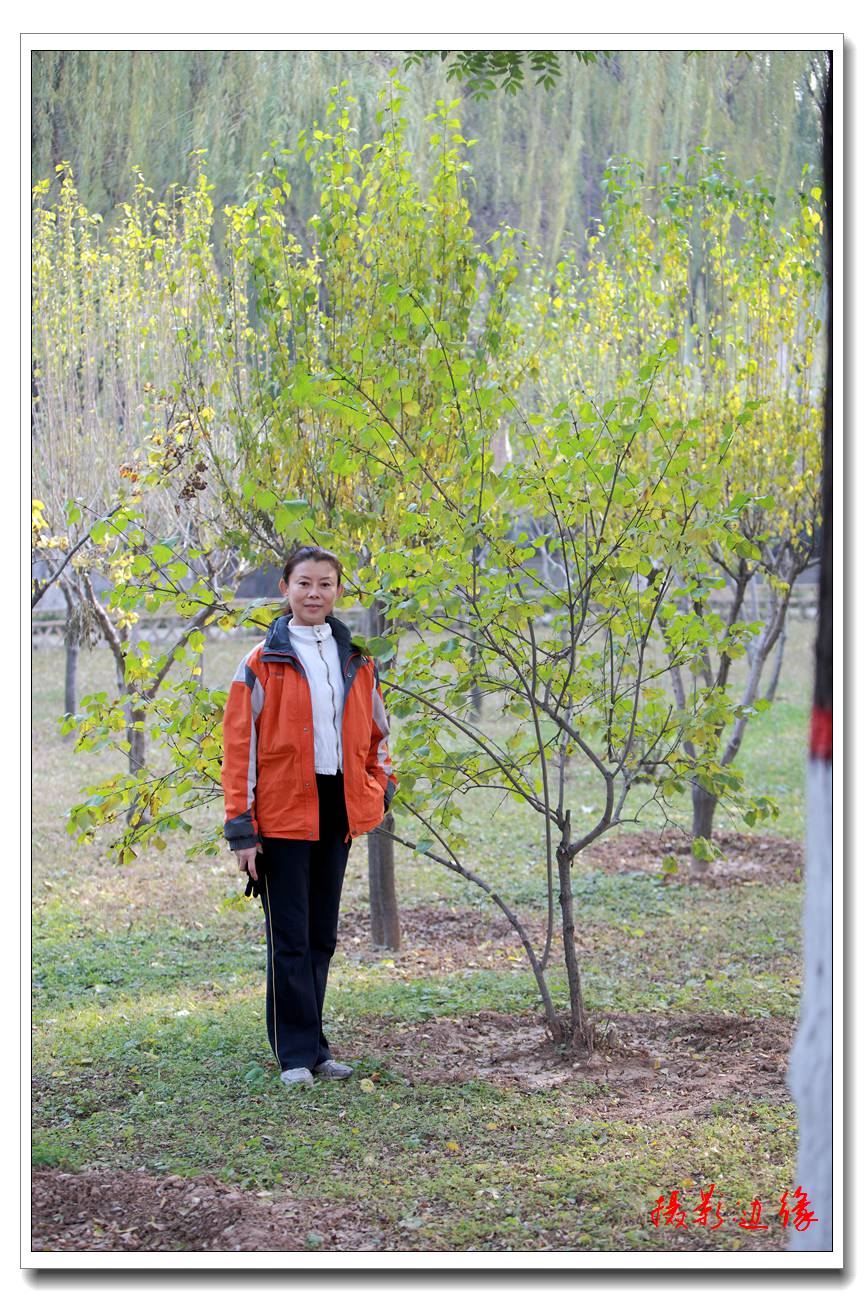 环境人像