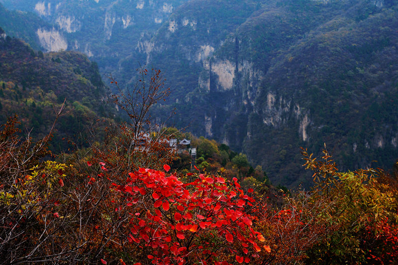 青龙峡——秋