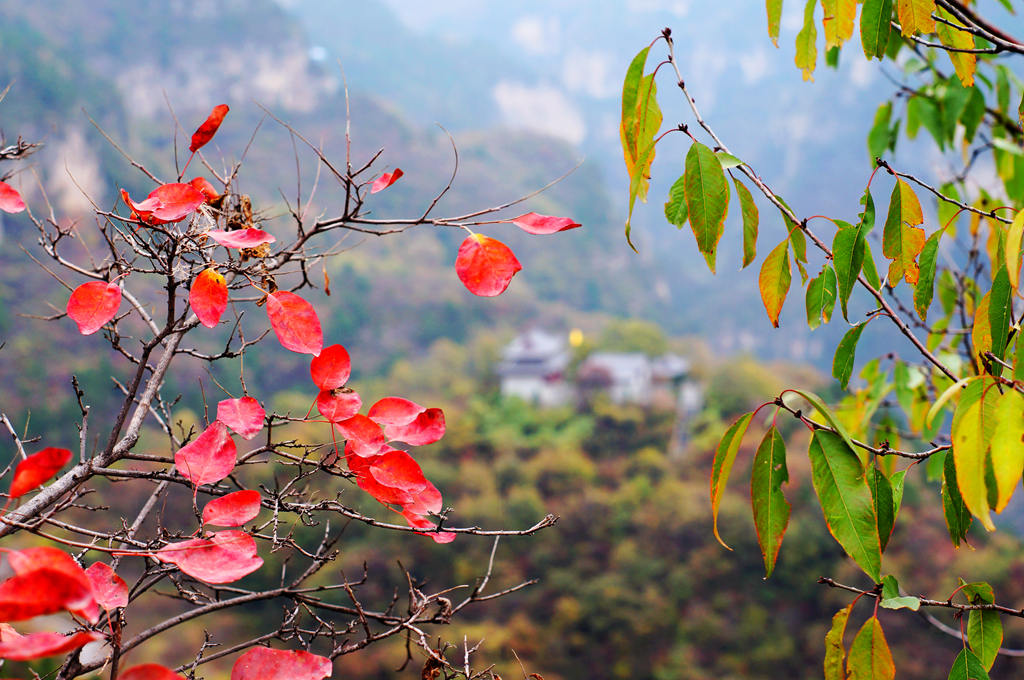 青龙峡——秋
