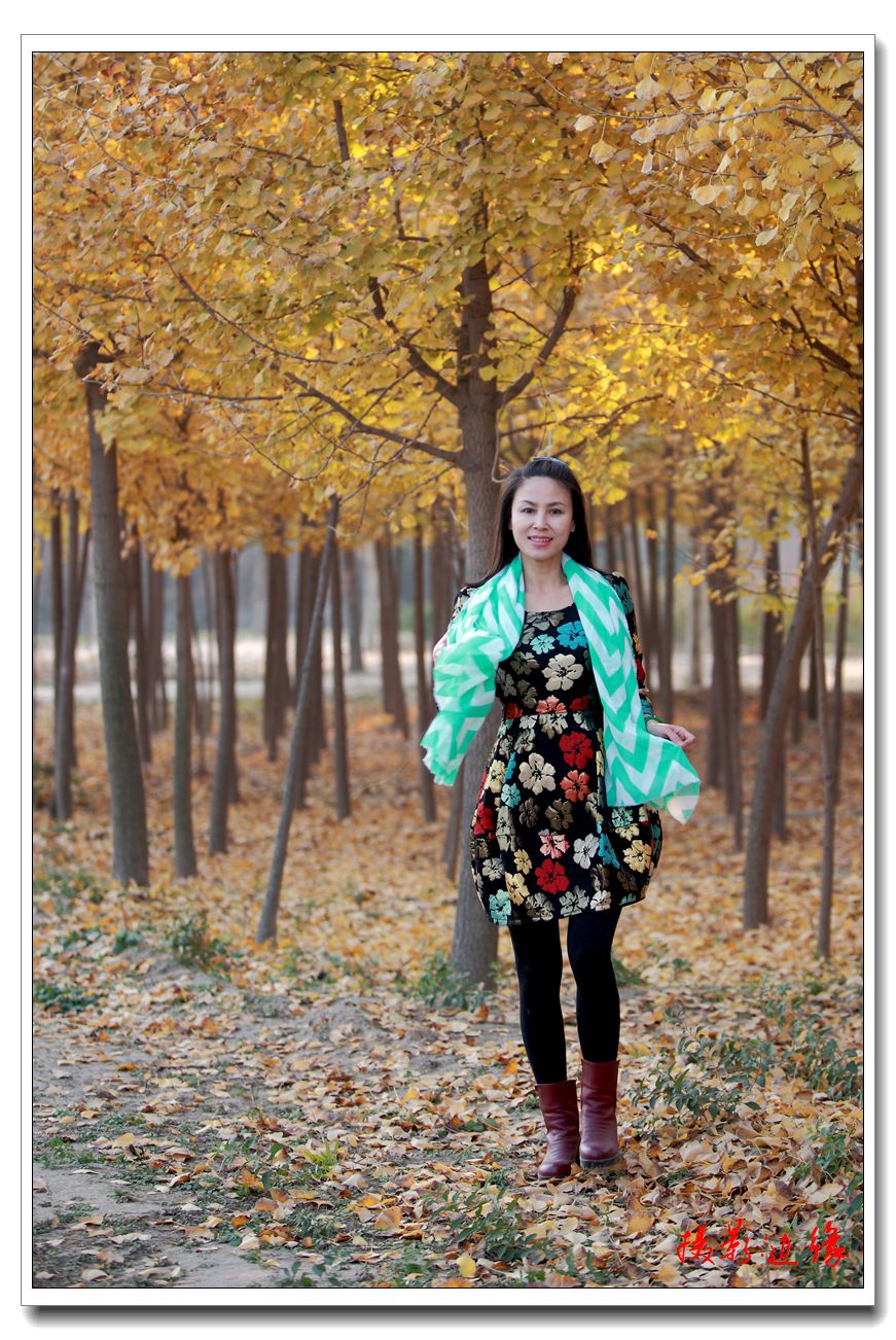 银杏树下的妹妹