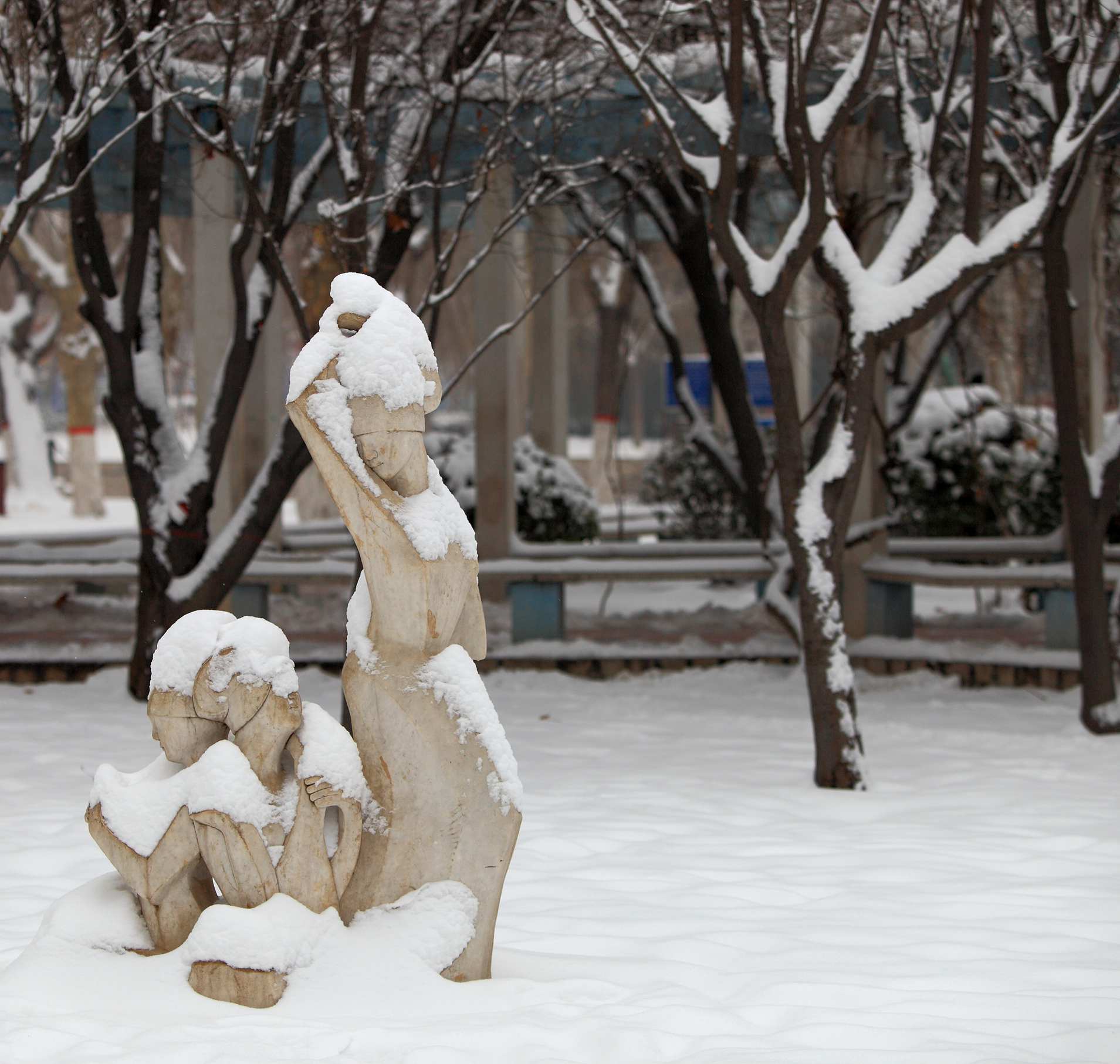 [原创]新春迎雪各有其乐