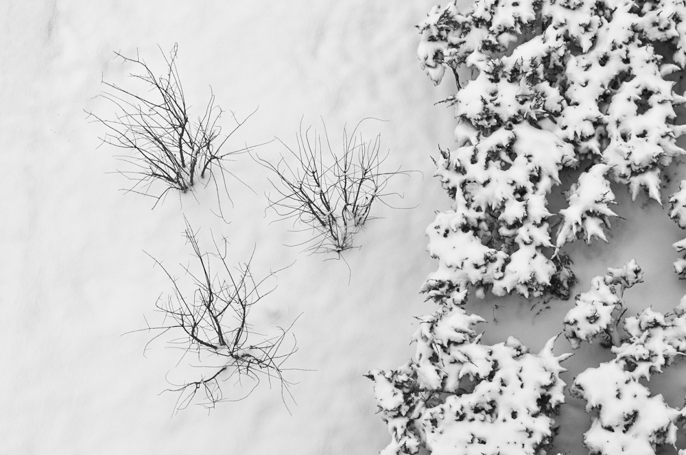[原创]雪趣