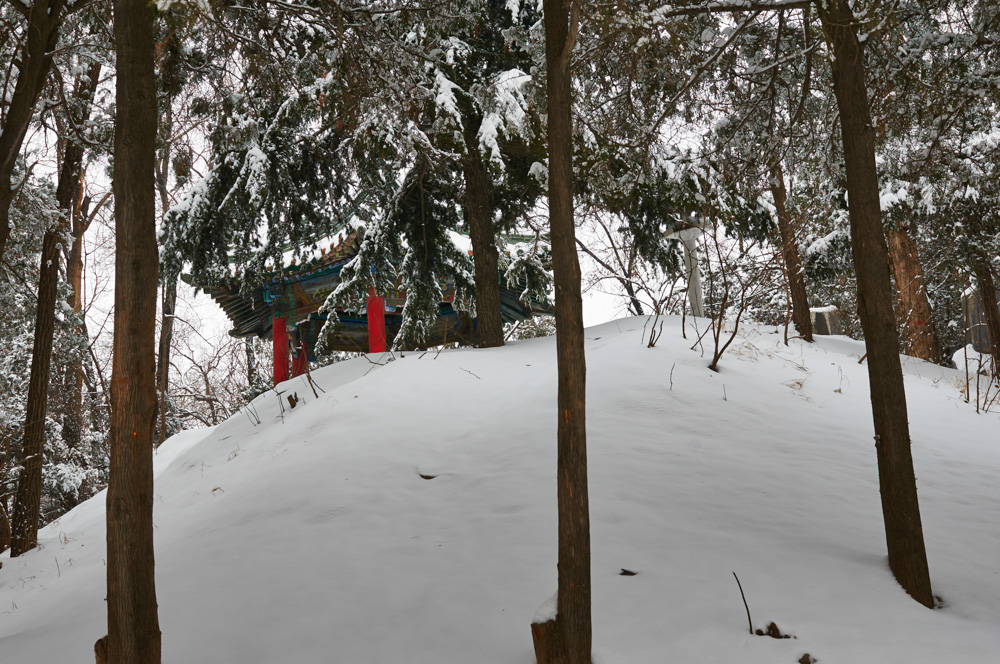 [原创]雪趣