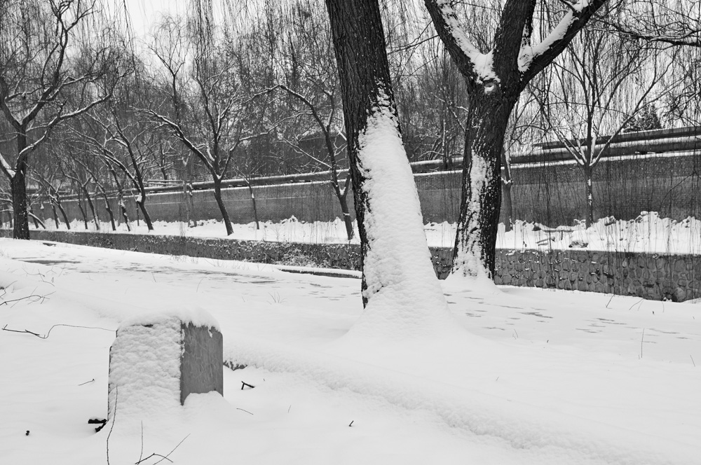 [原创]雪趣