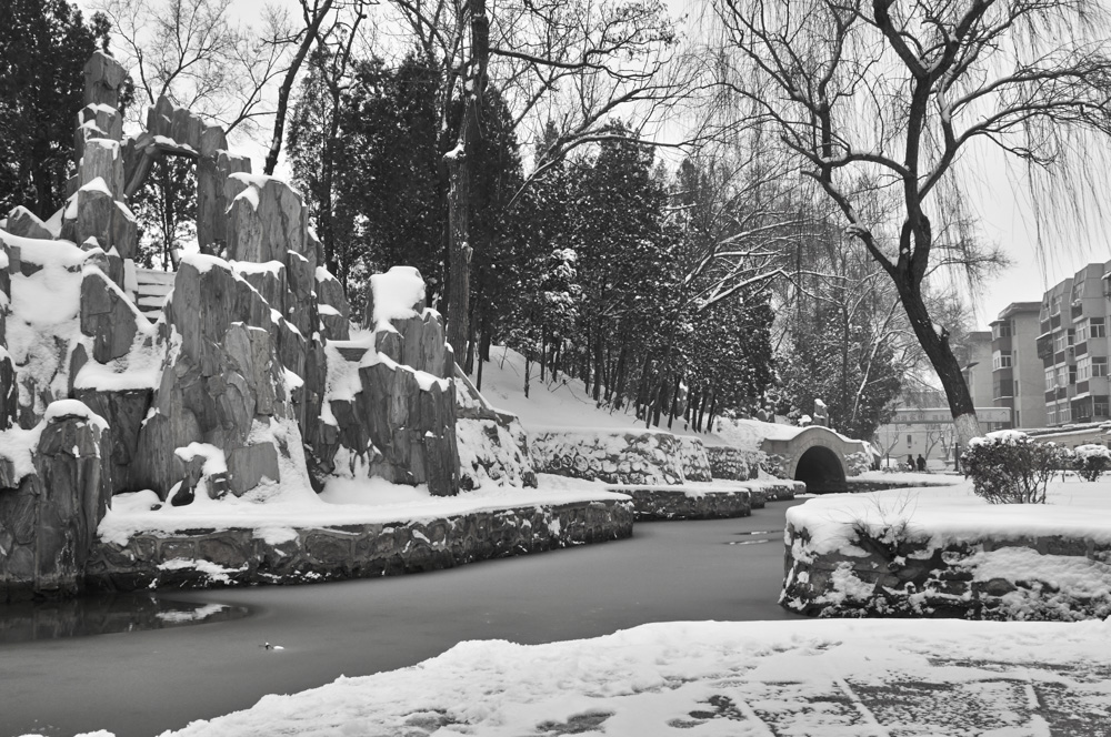[原创]雪趣