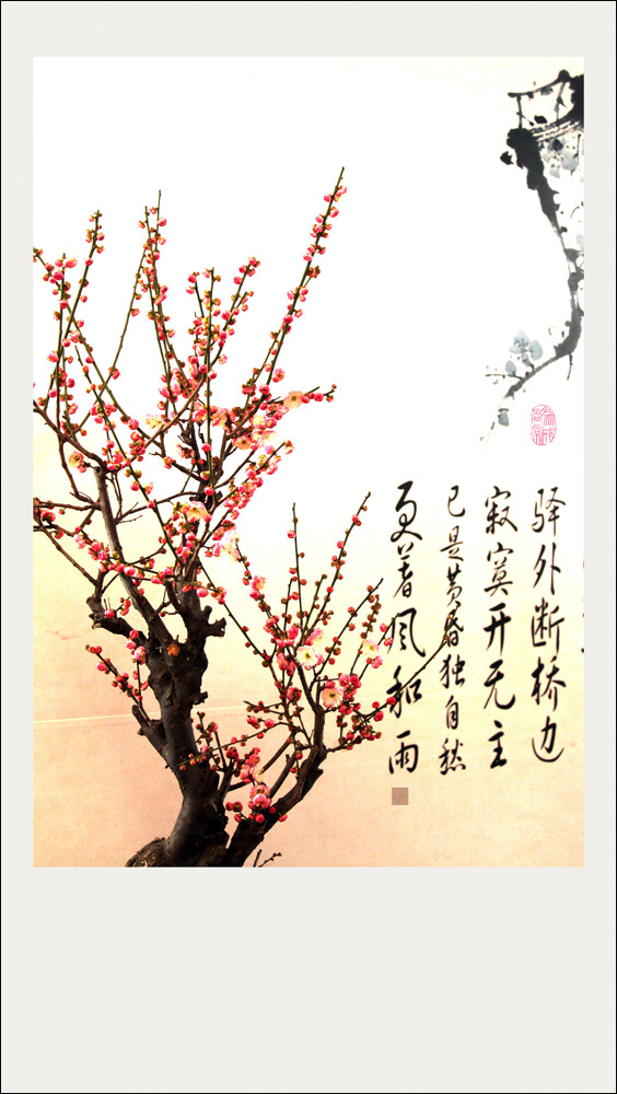 梅兰竹菊花卉帖