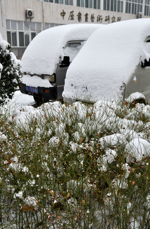 龙都瑞雪