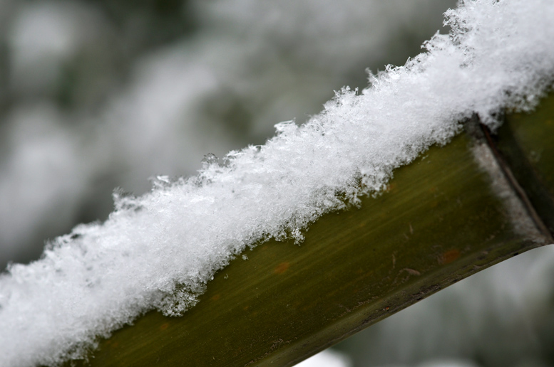 龙都瑞雪