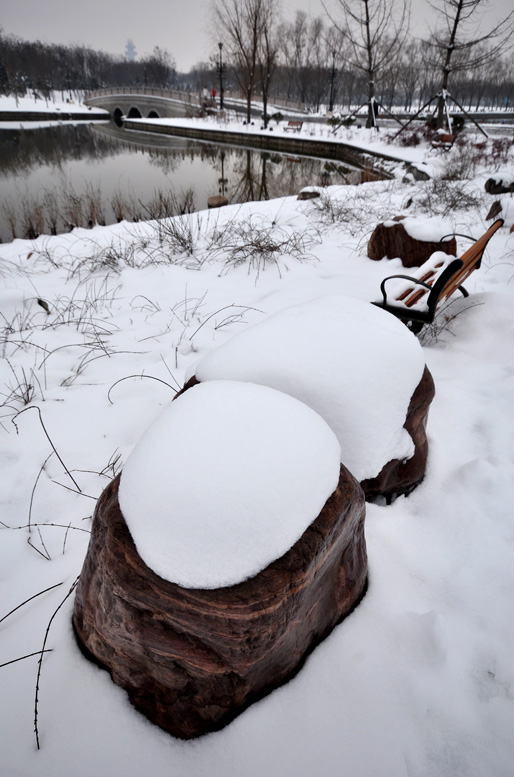 龙都瑞雪