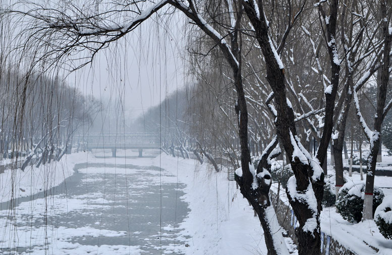 龙都瑞雪