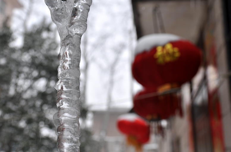 龙都瑞雪