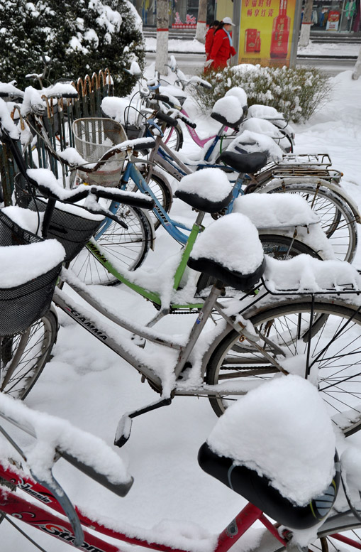 龙都瑞雪