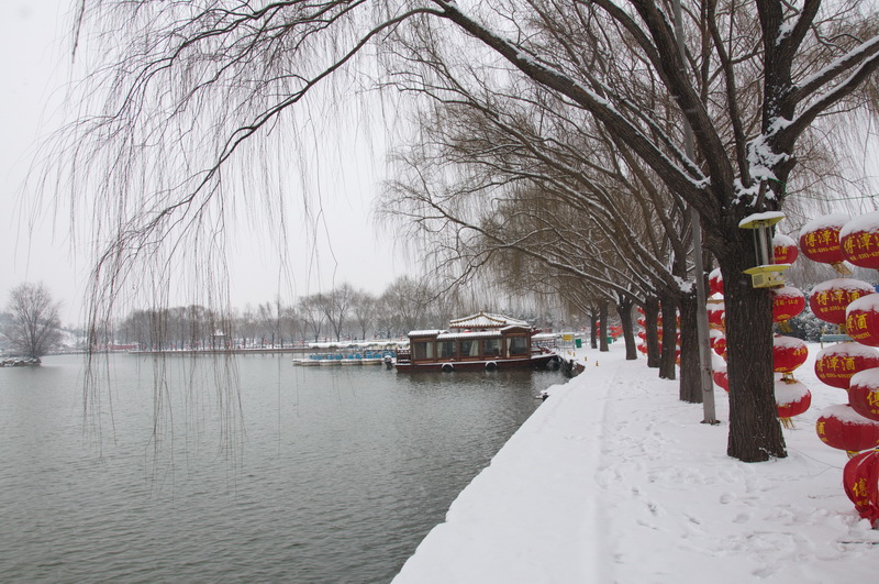 濮上园雪景