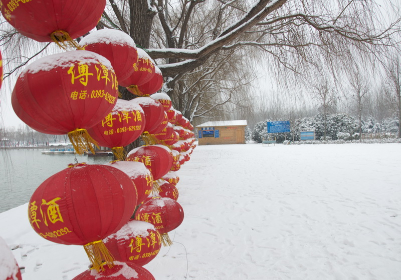 濮上园雪景
