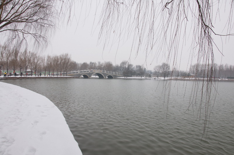 濮上园雪景