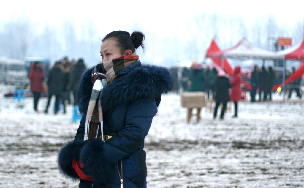 冬雪融化在这里（马街书会）