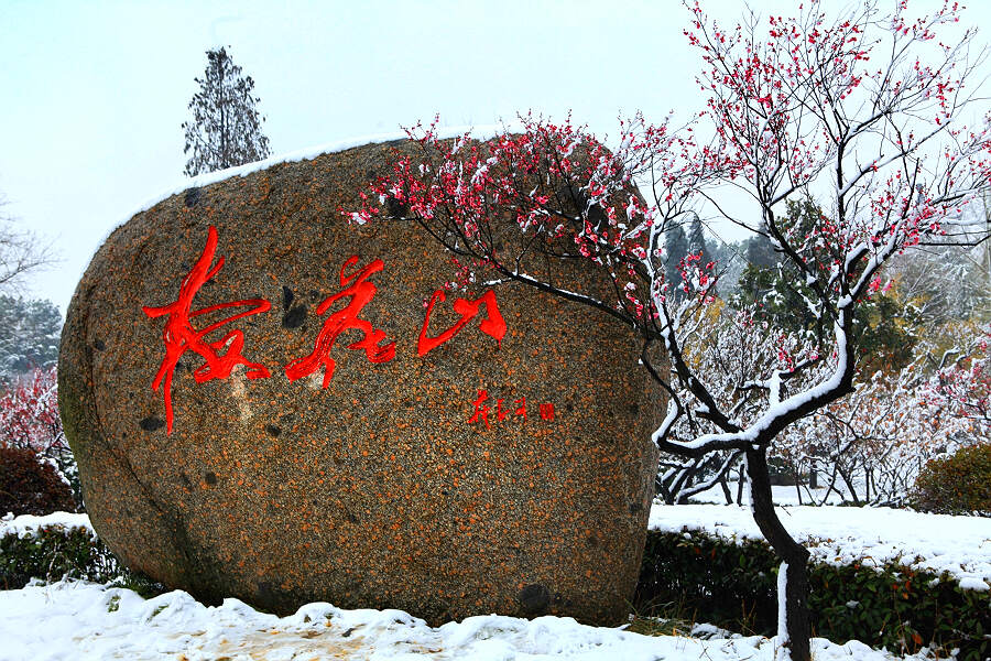 踏雪寻梅