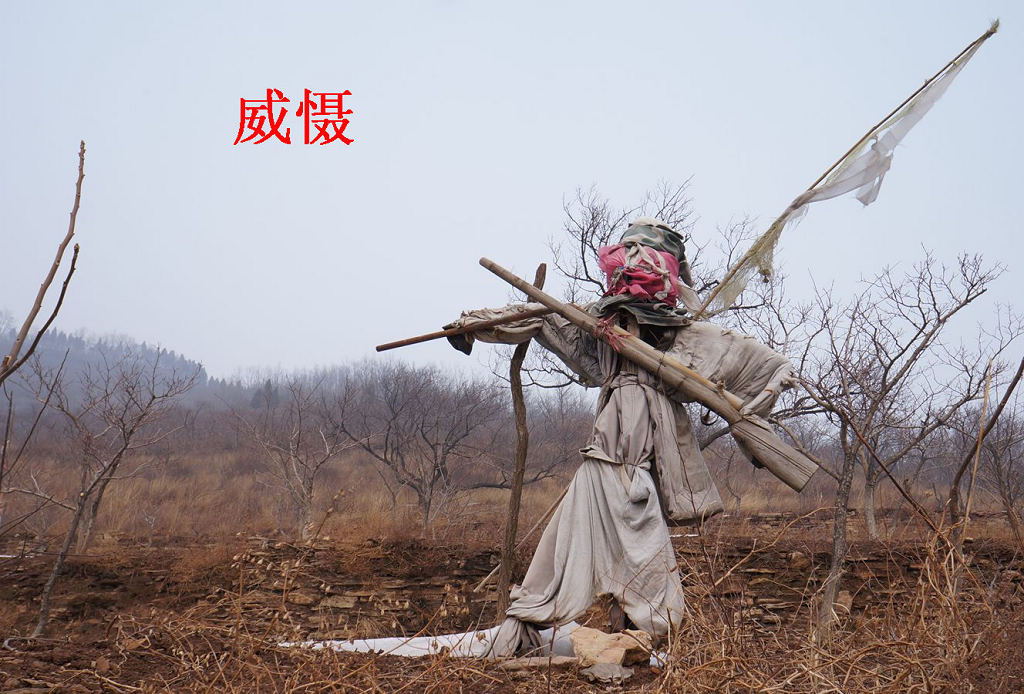 驴行之“刘家梯—太行部落—情人岛”纪实