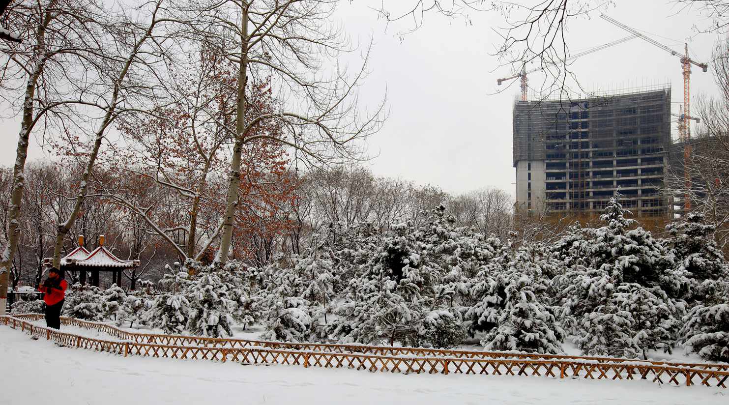 2014龙城第一雪