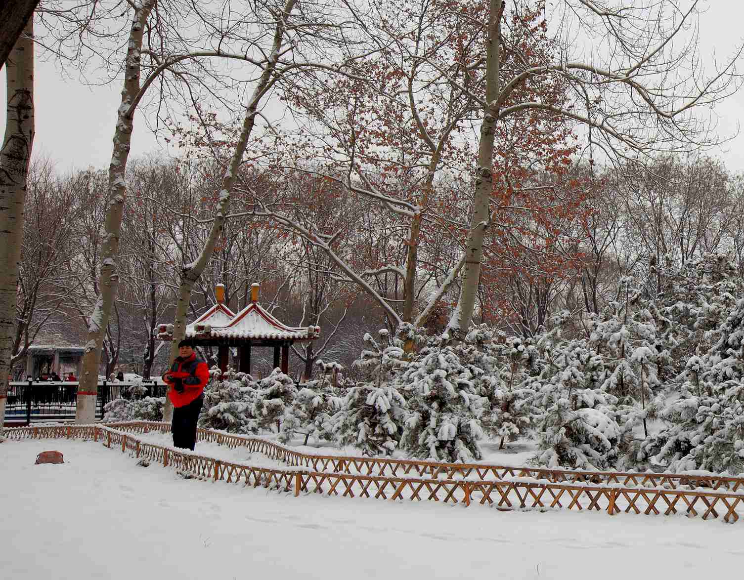2014龙城第一雪